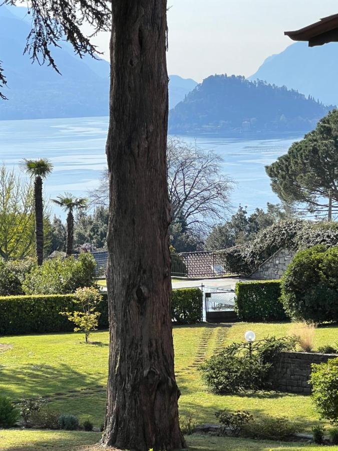 Landscapesilvia 1 Aria Menaggio Exterior foto